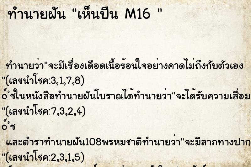 ทำนายฝัน เห็นปืน M16 